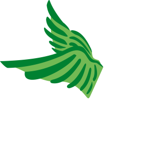 https://calandaflyers.ch/wp-content/uploads/2024/09/Logo_CF_weiss_favicon-320x317.png